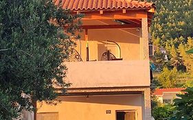Apartmani Maslina Zuljana