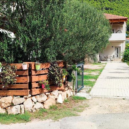 Apartmani Maslina Žuljana Exteriér fotografie