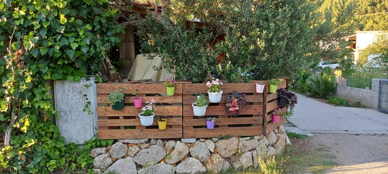 Apartmani Maslina Žuljana Exteriér fotografie