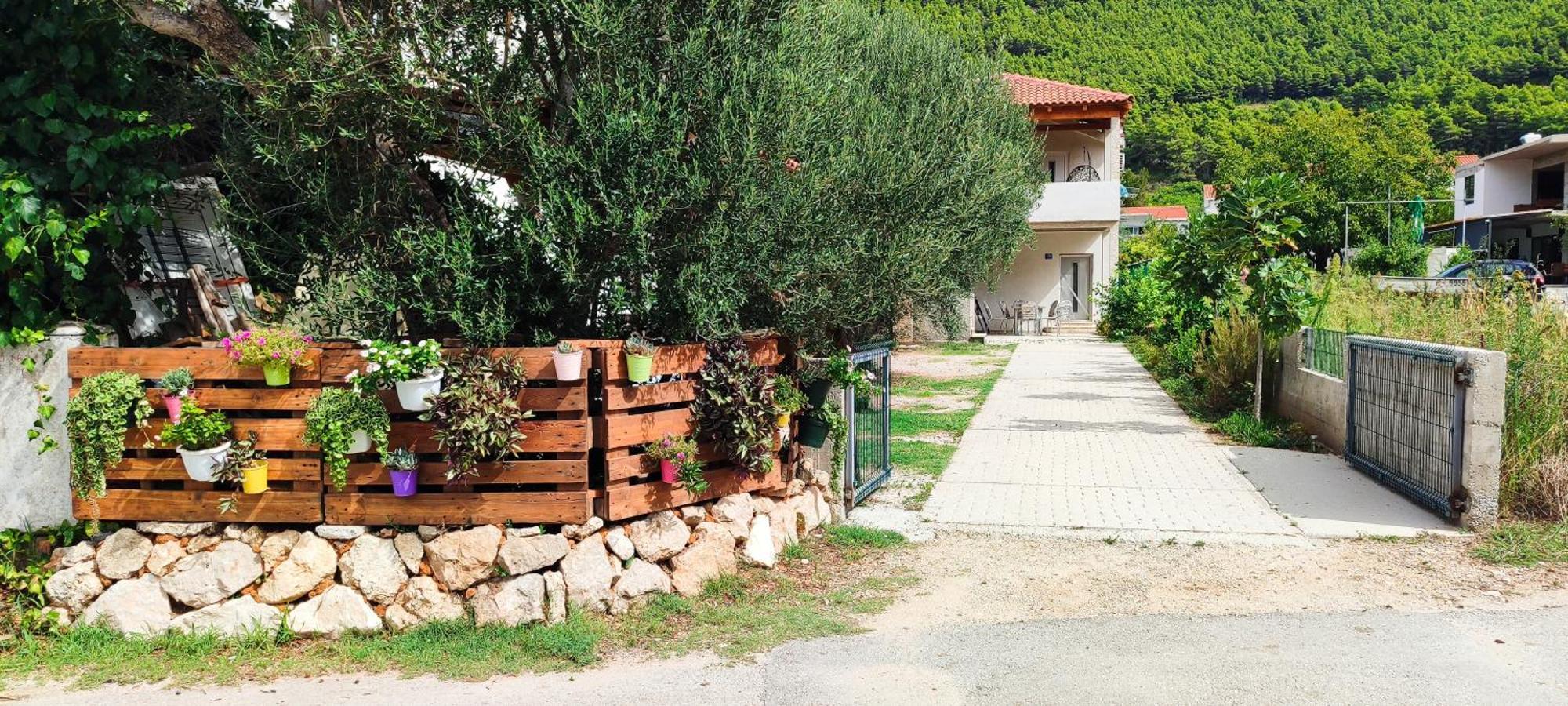 Apartmani Maslina Žuljana Exteriér fotografie